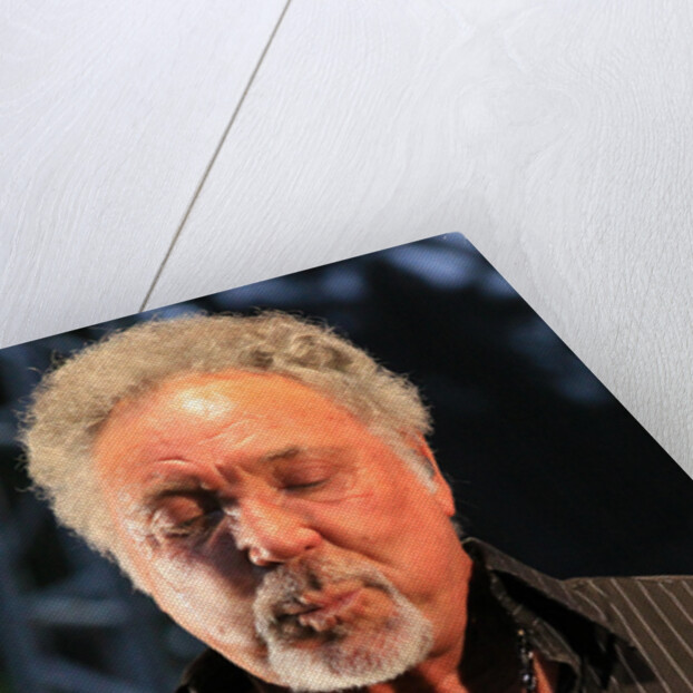 Tom Jones by L. Paul Mann